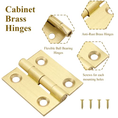 Brass Hinges N6265
