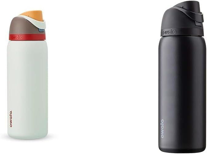 32 Oz Insulated Stainless Steel Water Bottles with Straw, Set of 2 K470