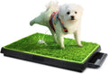 25''x20'' Artificial Turf Dog Toilet with Removable Waste Tray U966