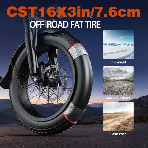 750W Electric Bike with 48V20AH Battery and 16"×3" Fat Tire R206