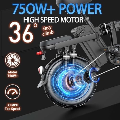750W Electric Bike with 48V20AH Battery and 16"×3" Fat Tire R206