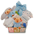 Twin Boys Gift Basket E4869