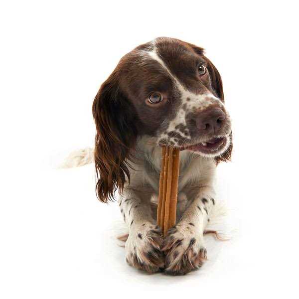 Dental Dog Treats Z13049