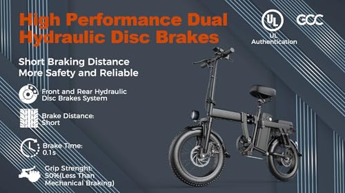 750W Electric Bike with 48V20AH Battery and 16"×3" Fat Tire R206