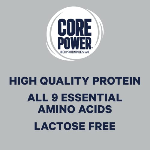 Strawberry 42g High Protein Milk Shake, 14 Fl Oz (2 Packs of 12) H2022