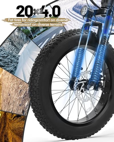 Fat Tire Electric Bike with 20X4.0 Tire, 7-Speed D8552