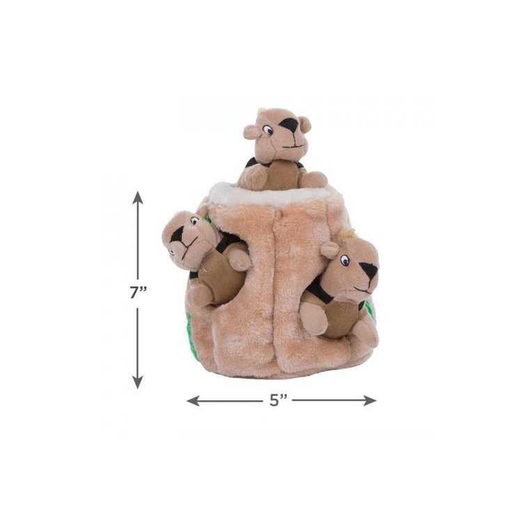 Hide A Squirrel Dog Toy I990291