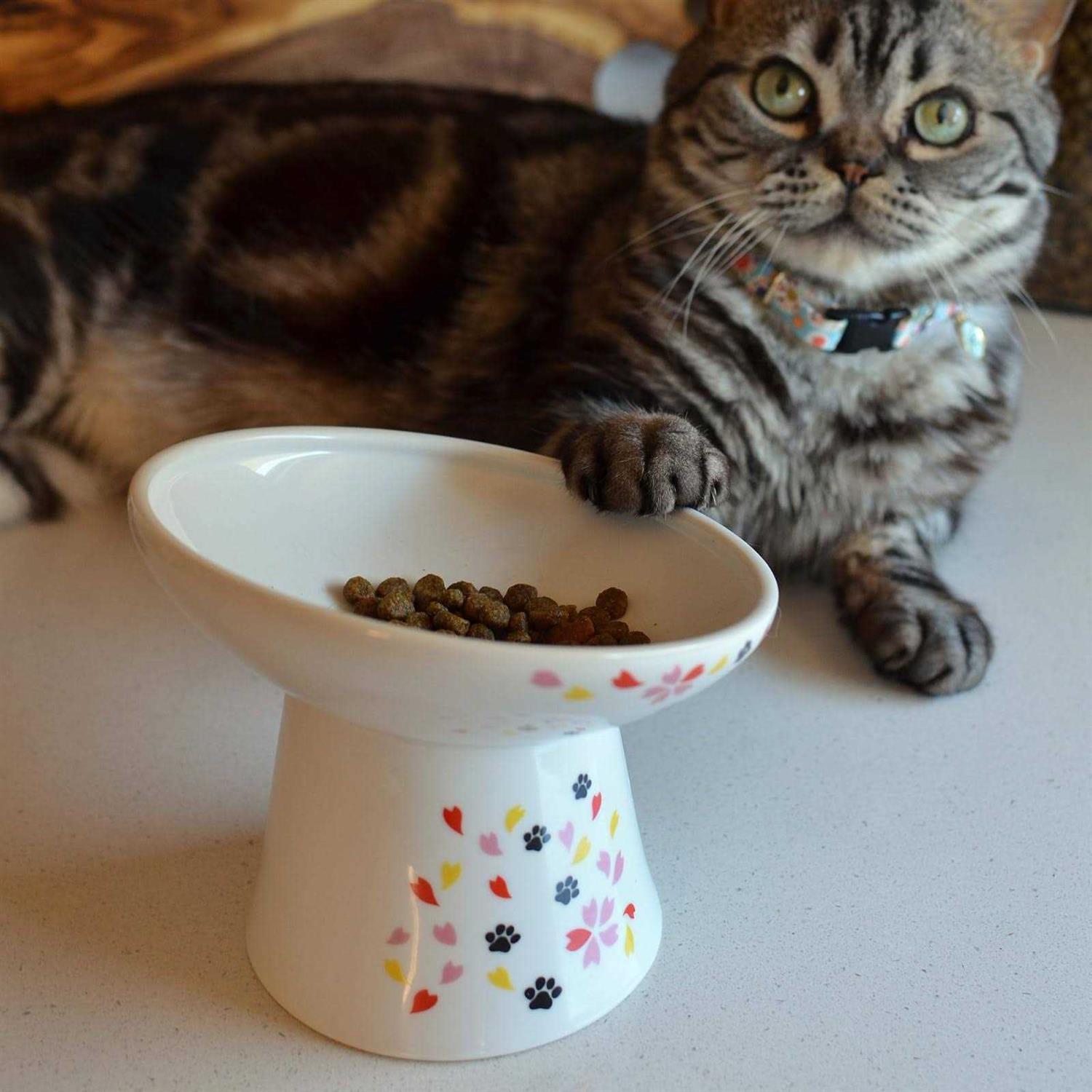 Extra Wide Raised Cat Food Bowl M966263