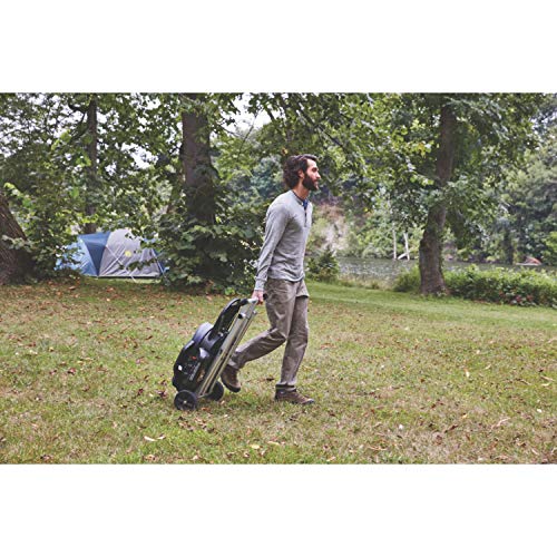 Portable Stand-Up Propane Grill with Push-Button Starter K5373
