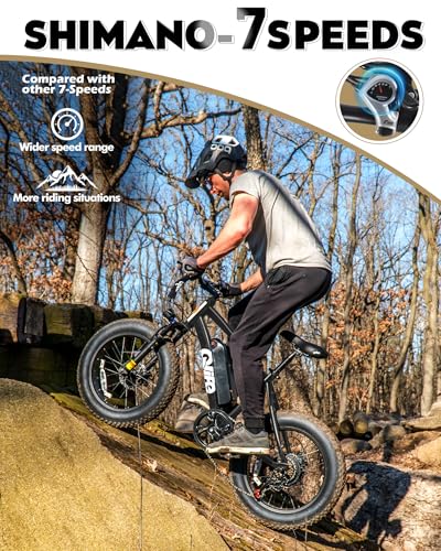 Fat Tire Electric Bike with 20X4.0 Tire, 7-Speed D8552