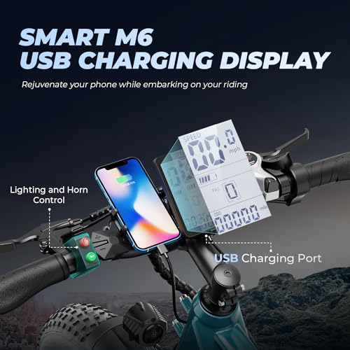 26'' x 4.0'' Fat Tire Electric Mountain Bike with 480Wh Battery 7 Speed U7654