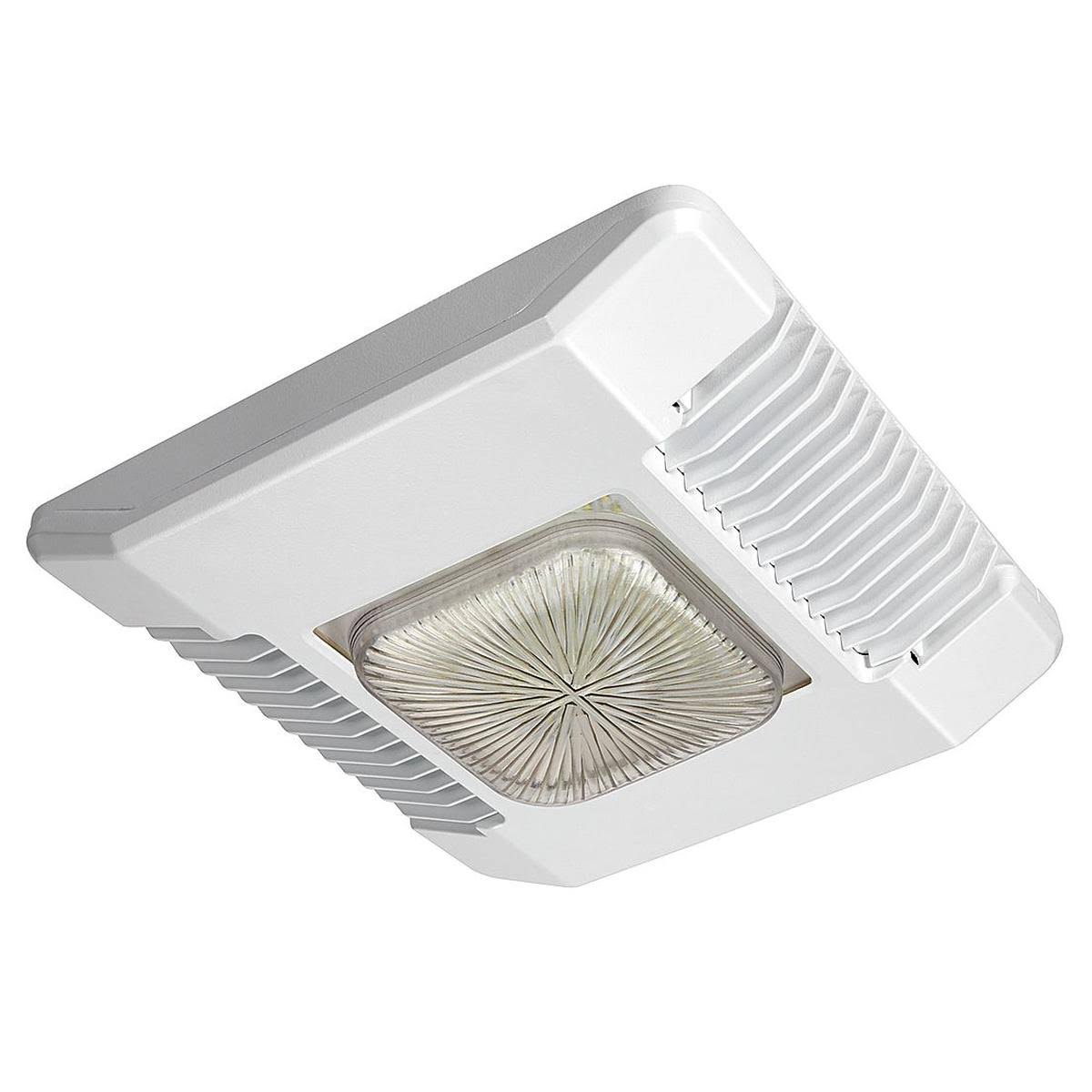 LED Canopy Light Y610321