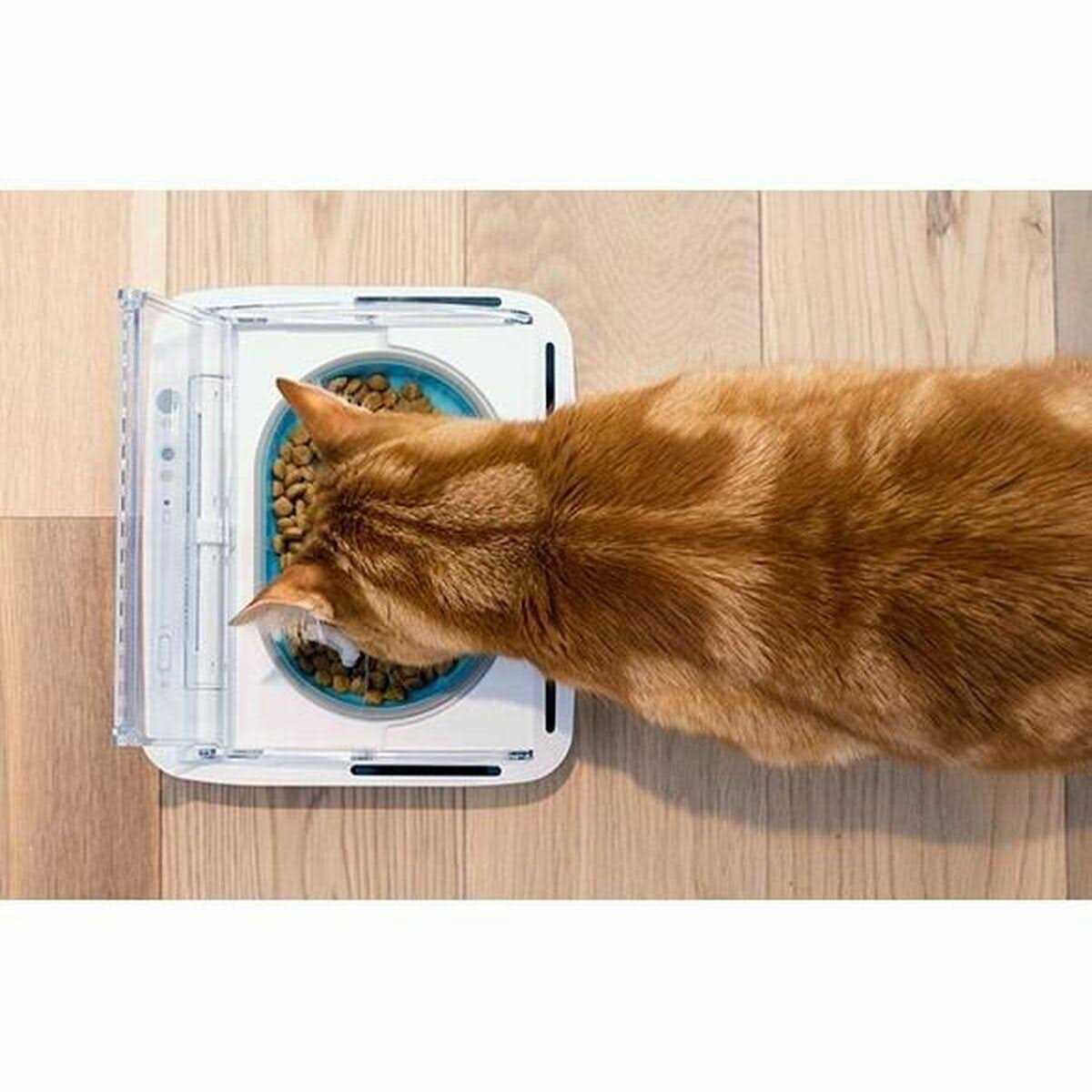 Surefeed Sealed Pet Bowl V3179