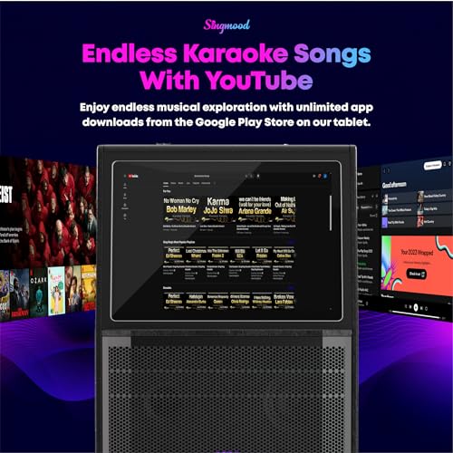 Portable Bluetooth Karaoke Machine with 2 Wireless Microphones N63836