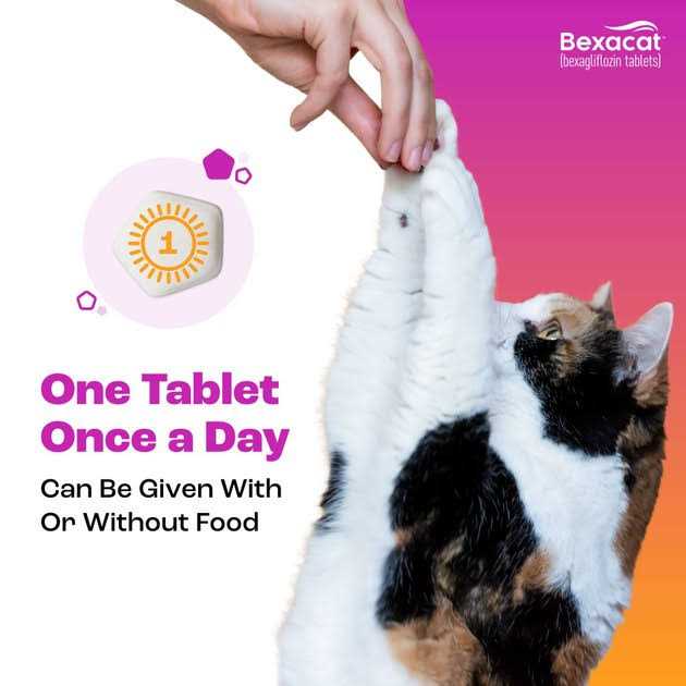 15 mg Cat P38084