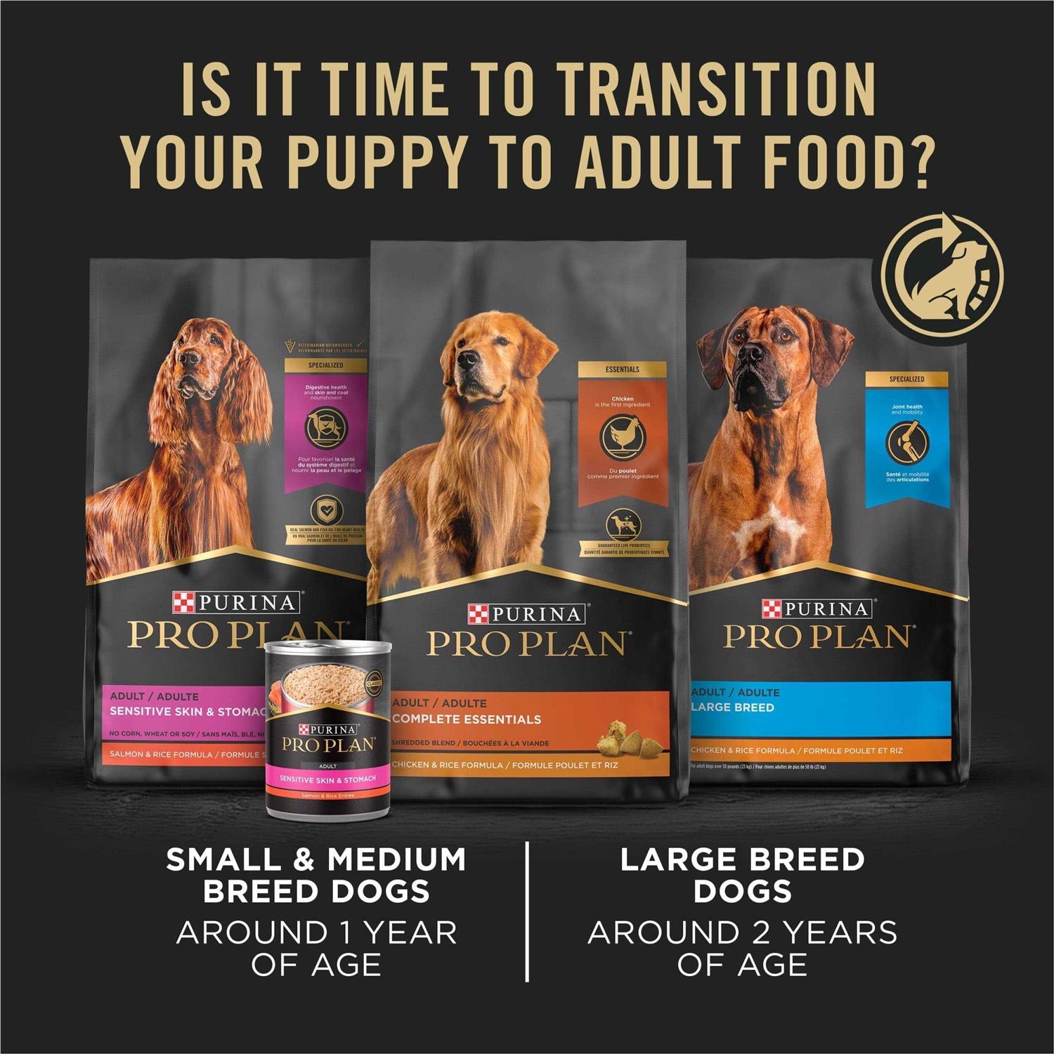 Dry Puppy Food B168