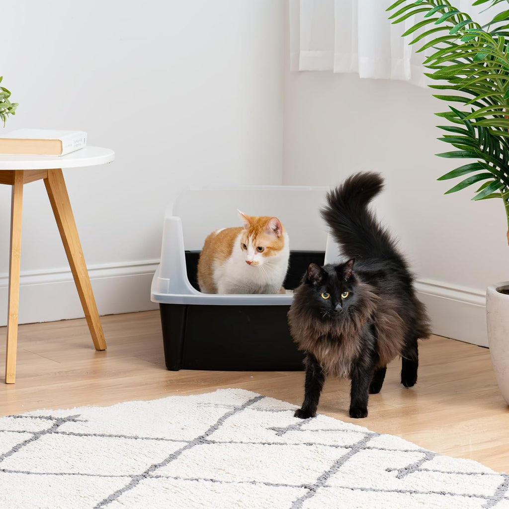 Black Open Top High Sided Cat Litter Box Y97622