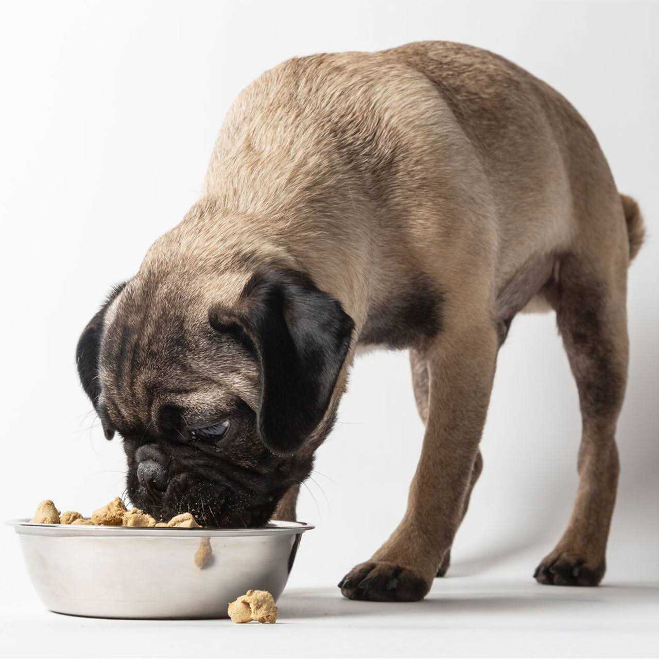 Freeze Dried Raw Nature's Blend Small Breed Dog Food P825