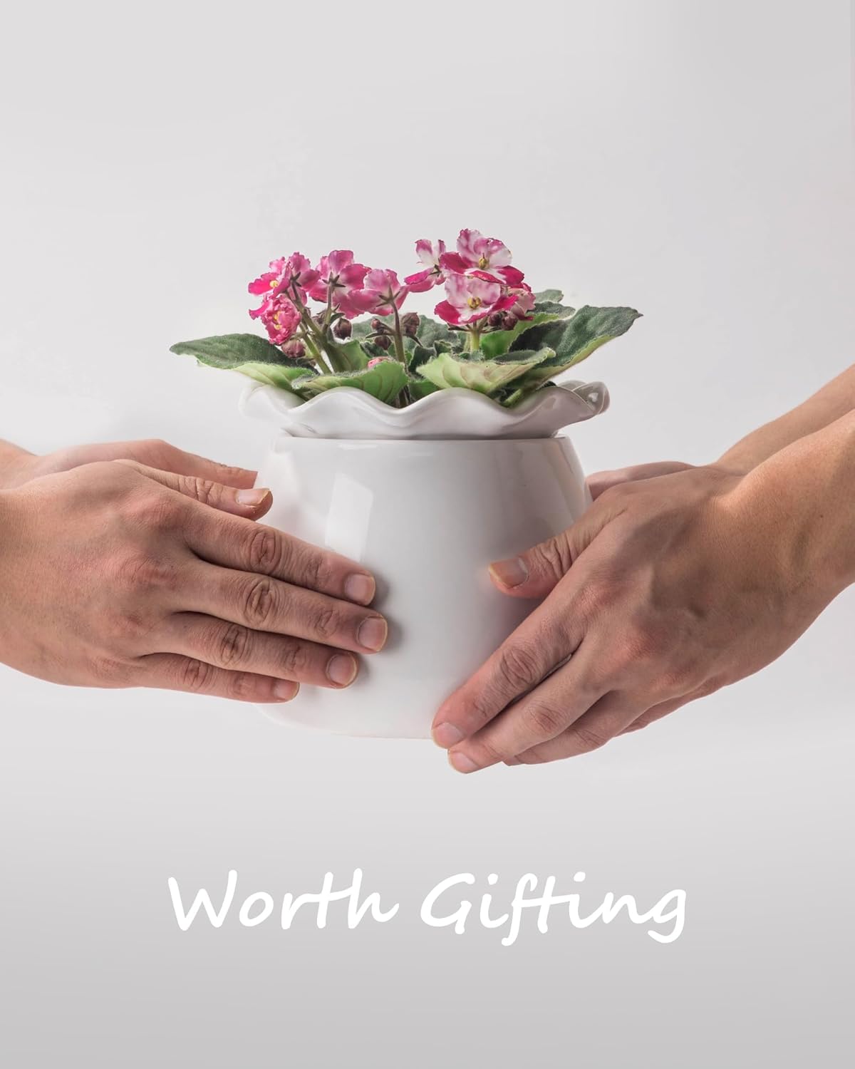 6 Inch Ceramic Self-Watering Plant Pot O625776