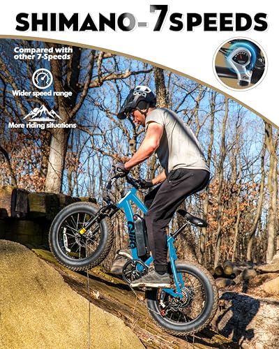 Fat Tire Electric Bike with 20X4.0 Tire, 7-Speed D8552