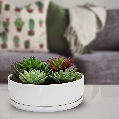 8 inch White Round Ceramic Planter with Removable Saucer V44792