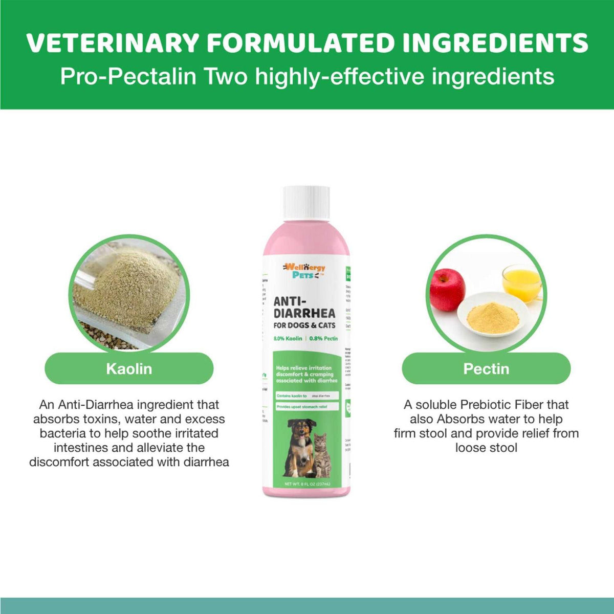 Anti-Diarrhea for Dogs & Cats V37429