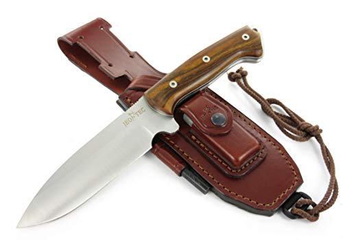 Fixed Blade Full Tang 11" MOVA Stainless Steel Knife with Sheath G92525