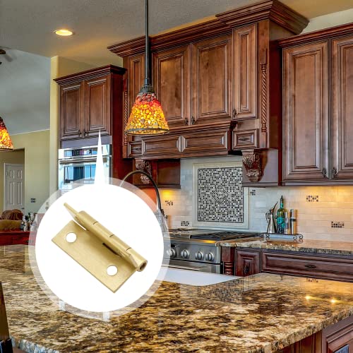 Brass Hinges N6265