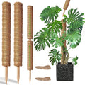 Moss Pole -2 Pack 17 Inch Plant Support Stakes M609