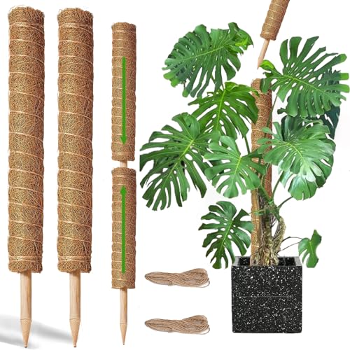 Moss Pole -2 Pack 17 Inch Plant Support Stakes M609