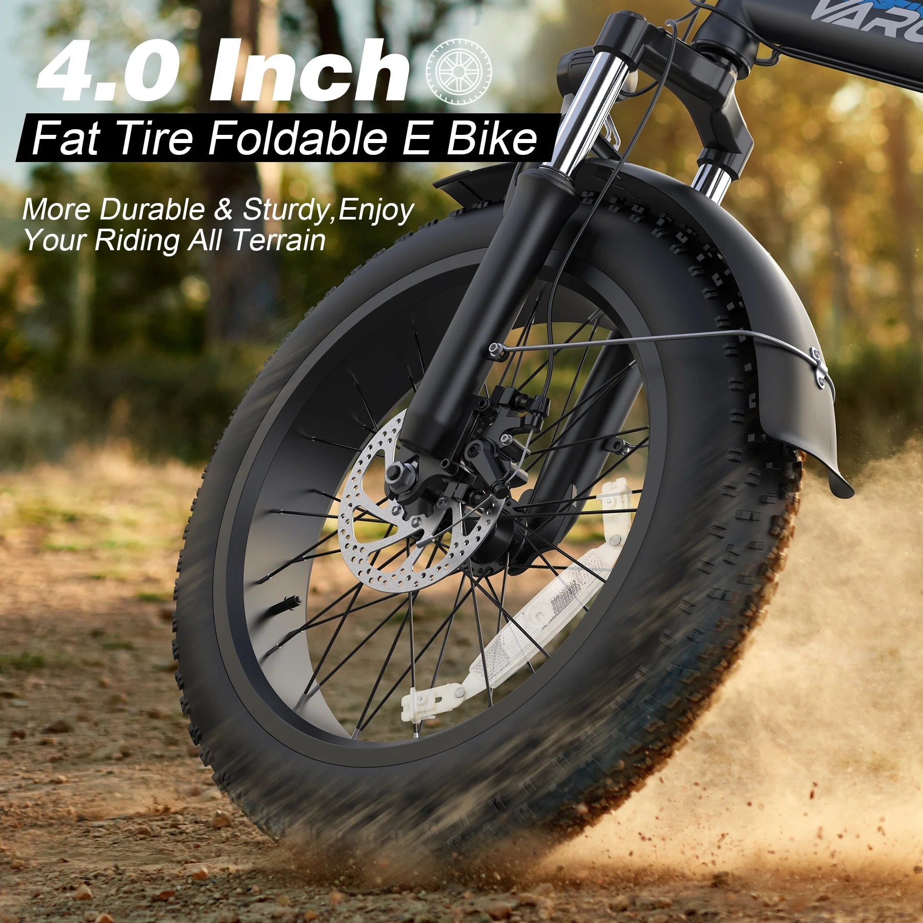 Folding Electric Bike with 48V 13Ah Battery F15416