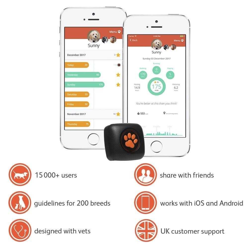 Dog Activity and Fitness Monitor Z4267