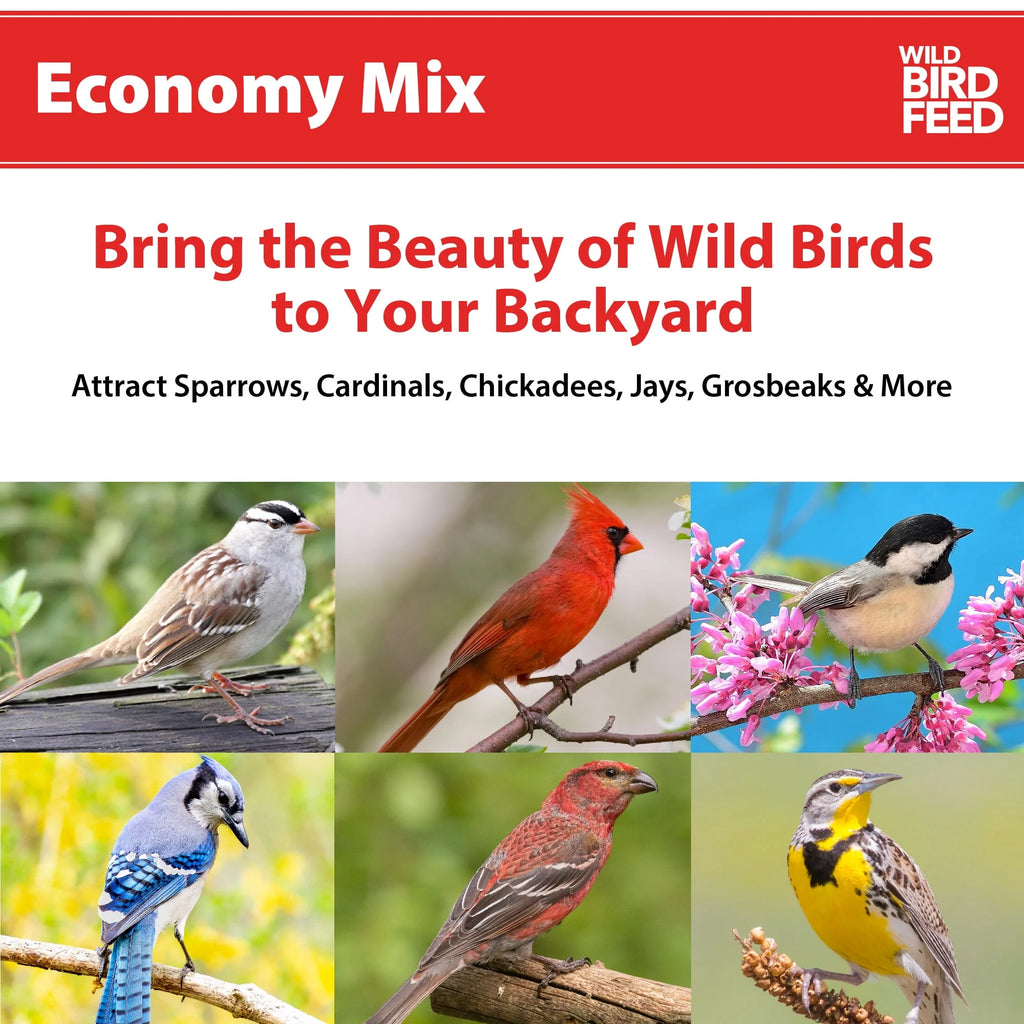 20 lb. Wild Bird Feed R9159