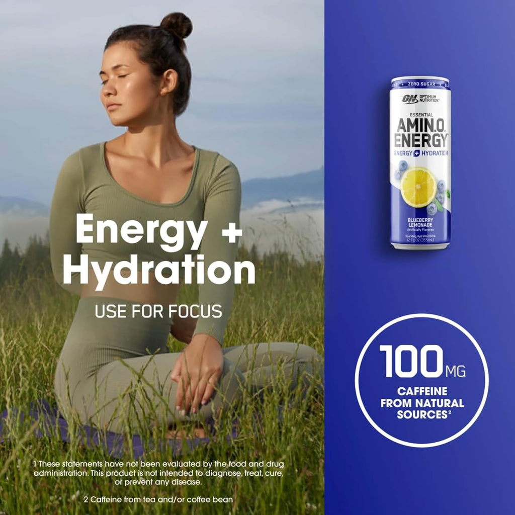 Blueberry Lemonade Sparkling Hydration Drink, 12 Fl Oz Pack of 7 W1600