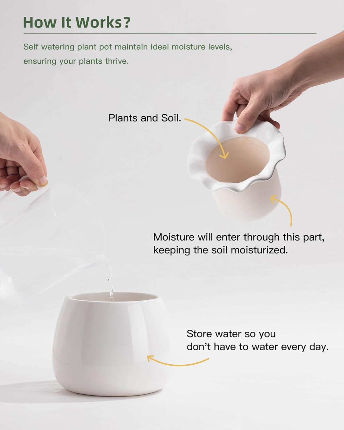 6 Inch Ceramic Self-Watering Plant Pot O625776