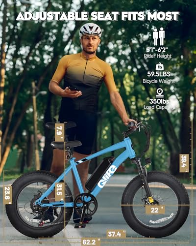 Fat Tire Electric Bike with 20X4.0 Tire, 7-Speed D8552