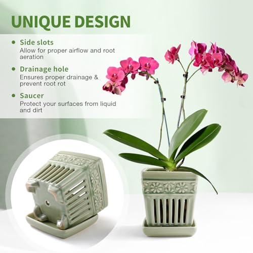 5" Ceramic Orchid Planter with Attached Saucer P5769