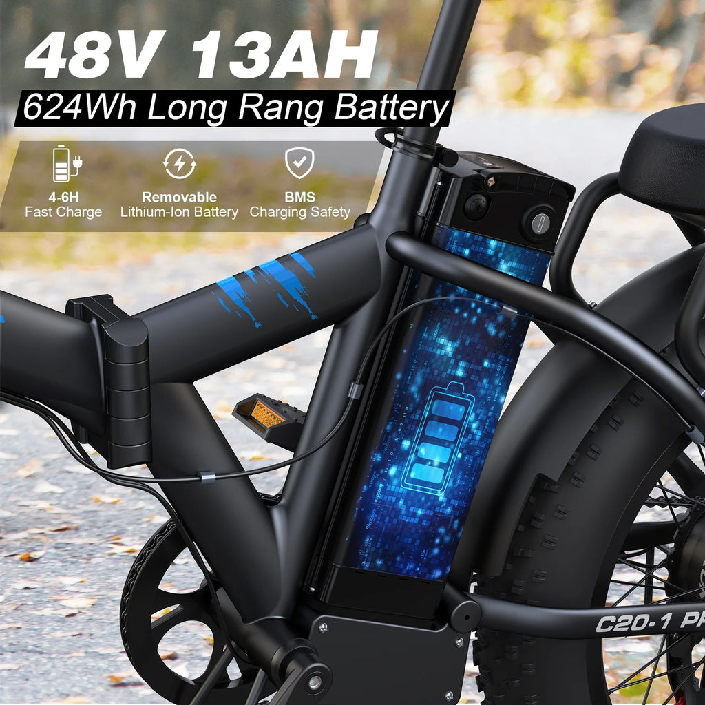 Folding Electric Bike with 48V 13Ah Battery F15416