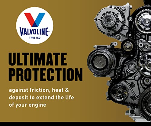 Full Synthetic Motor Oil SAE 5W-30 5 QT N989566