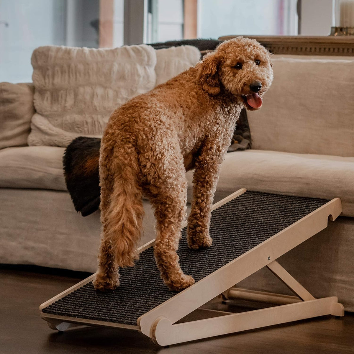 Adjustable Dog Ramp with Paw Traction Mat, 40" Long, 14” to 24”, Rated for 200LBS E948