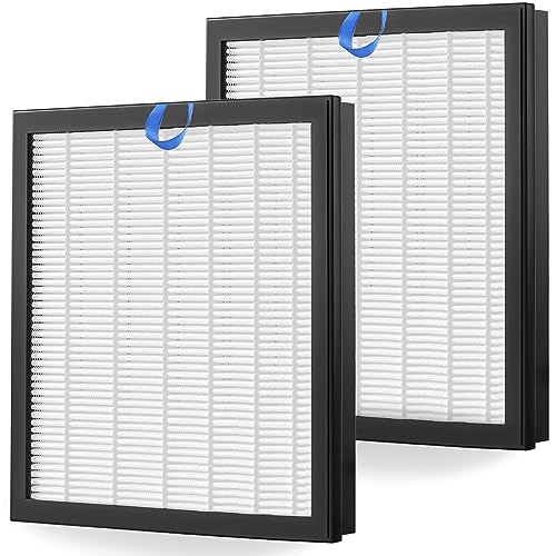 2 Pack H13 True HEPA Air Purifier Filters R51460