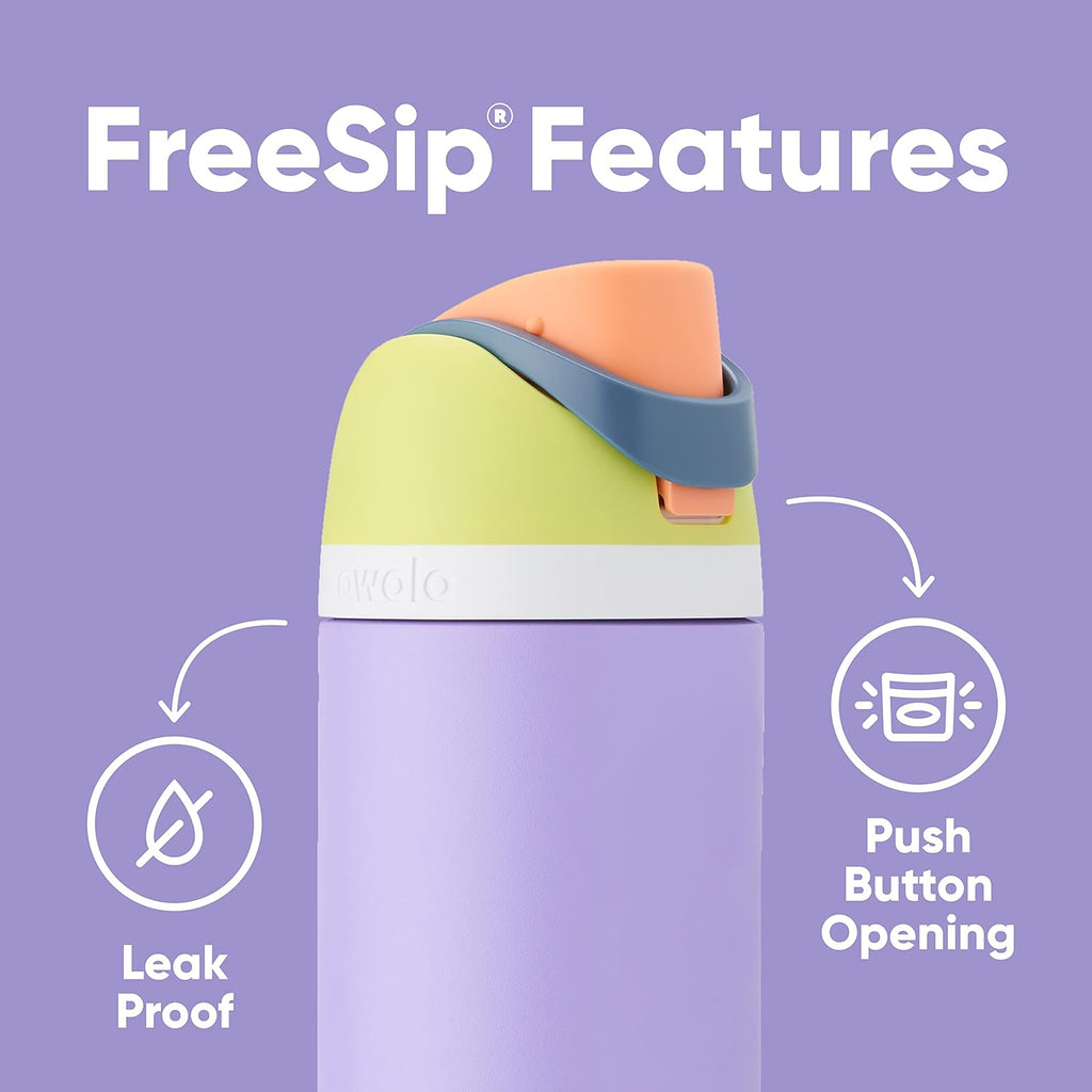 32 Oz Insulated Stainless Steel Water Bottles with Straw, Set of 2 K470