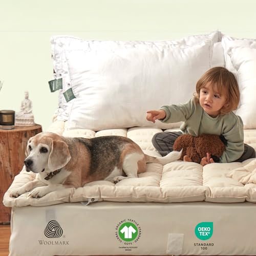Organic Merino Wool Pillow Top Mattress Topper - 2", Queen X978438