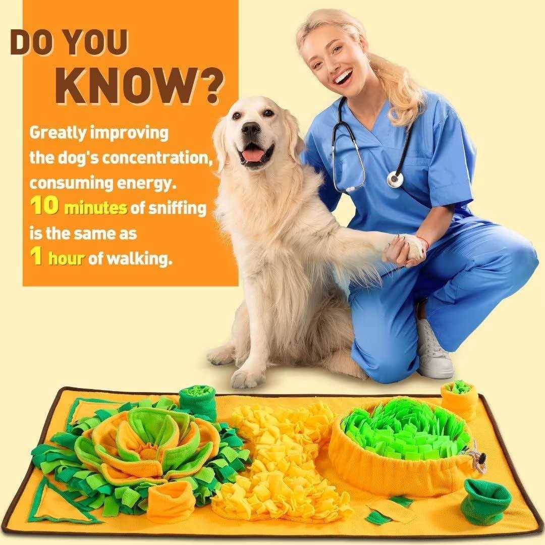 Non-slip Carrot Snuffle Mat for Dog Enrichment L17948