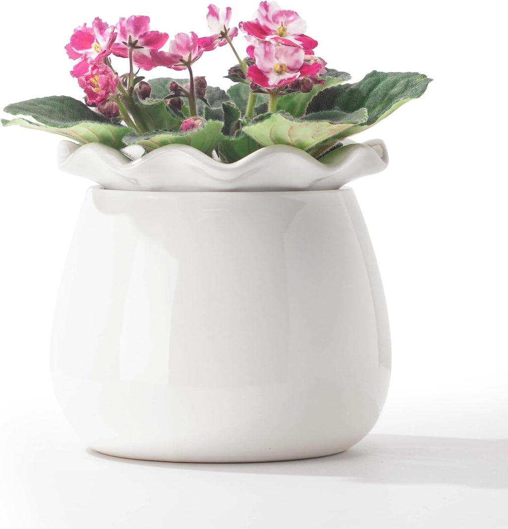 6 Inch Ceramic Self-Watering Plant Pot O625776