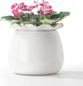 6 Inch Ceramic Self-Watering Plant Pot O625776