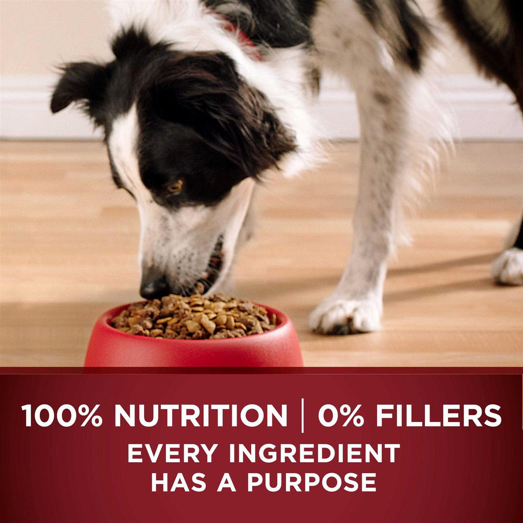 Real Turkey & Venison Dry Dog Food F553