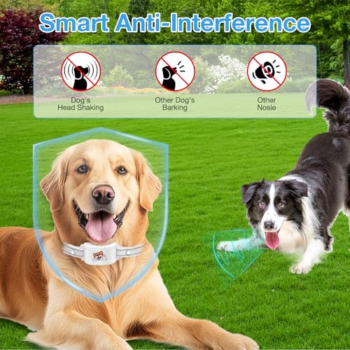 GPS Wireless Dog Fence & Training Collar, Outdoor Waterproof Rechargeable Collar (White) I403
