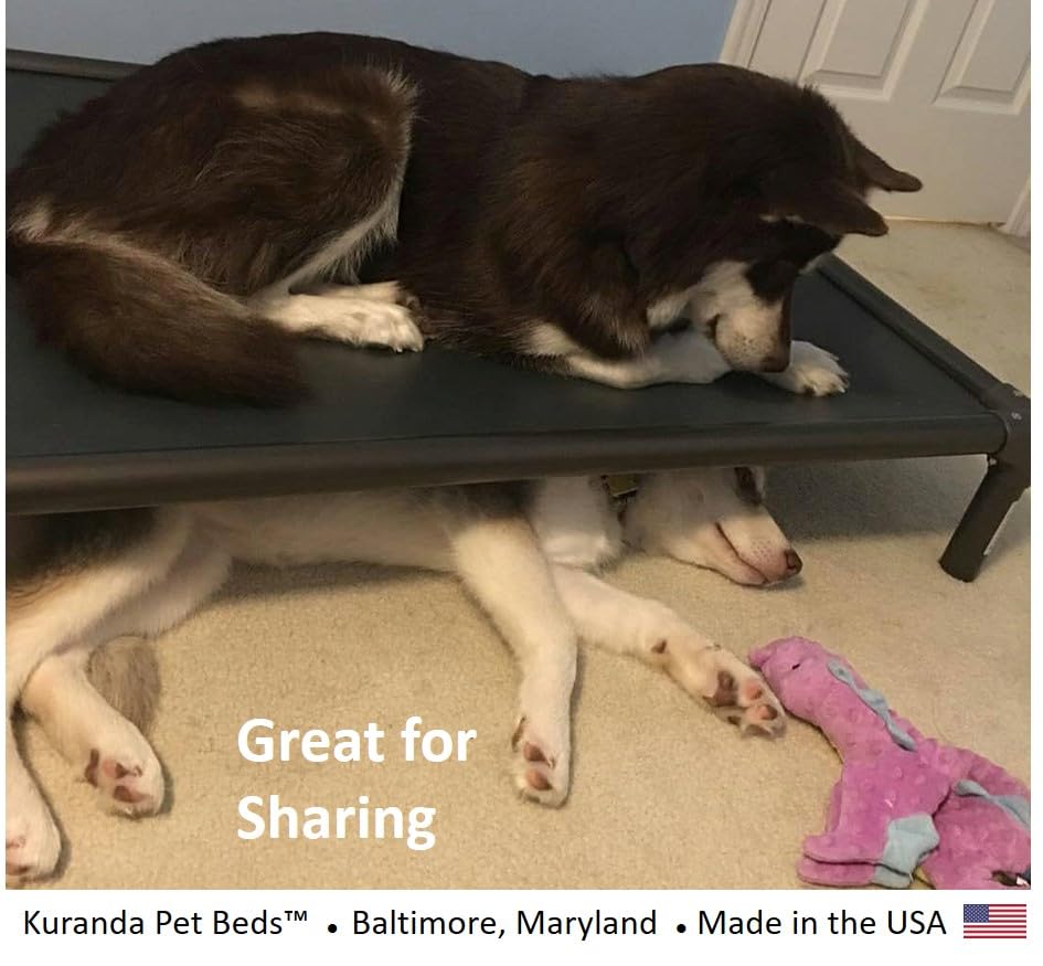 Walnut PVC Heavy Duty Vinyl Dog Bed 50" x 36" Y67781