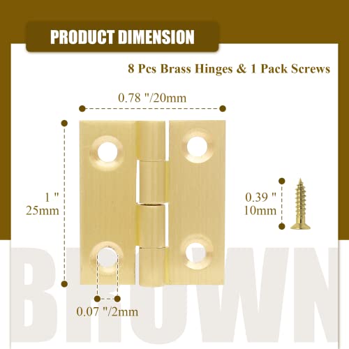 Brass Hinges N6265